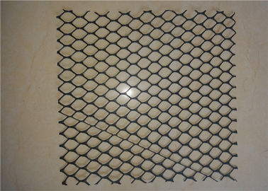 Black Color Two-Dimension HDPE Geonet Hexagon Grid Shape  For Highway Roadbed Drainage