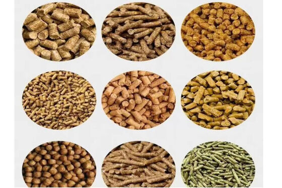 High Density Biomass Briquette Maker 1.3 g/cm³ Density